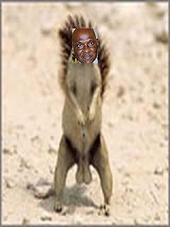 dff